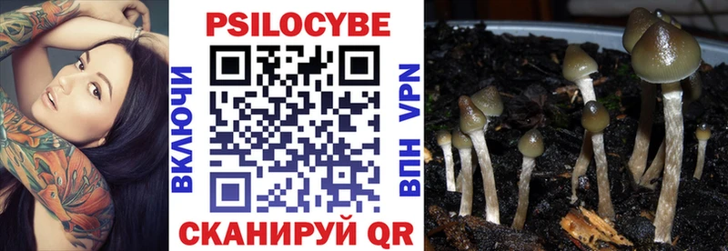 Псилоцибиновые грибы Psilocybe  Беслан 